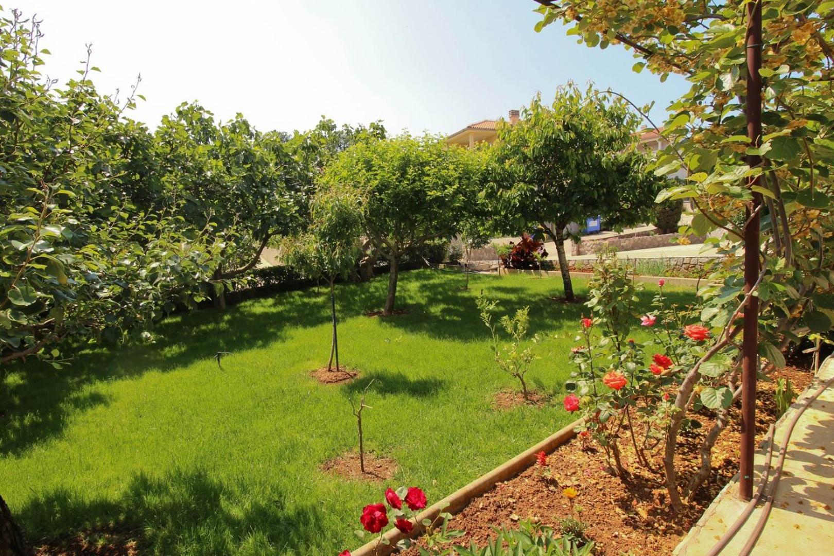 Apartments Nevenka K. Čižići 외부 사진
